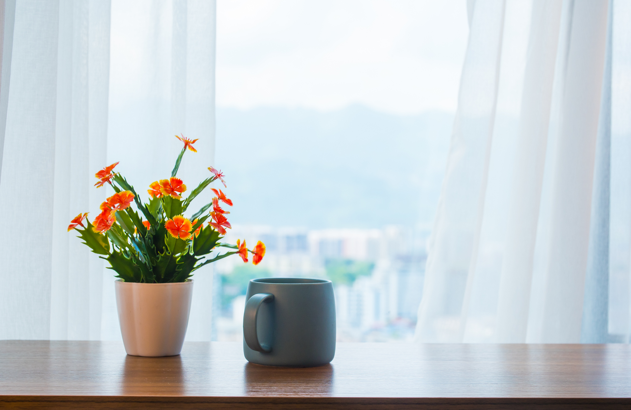 Teleporting objects into the metaverse - Blip Reader